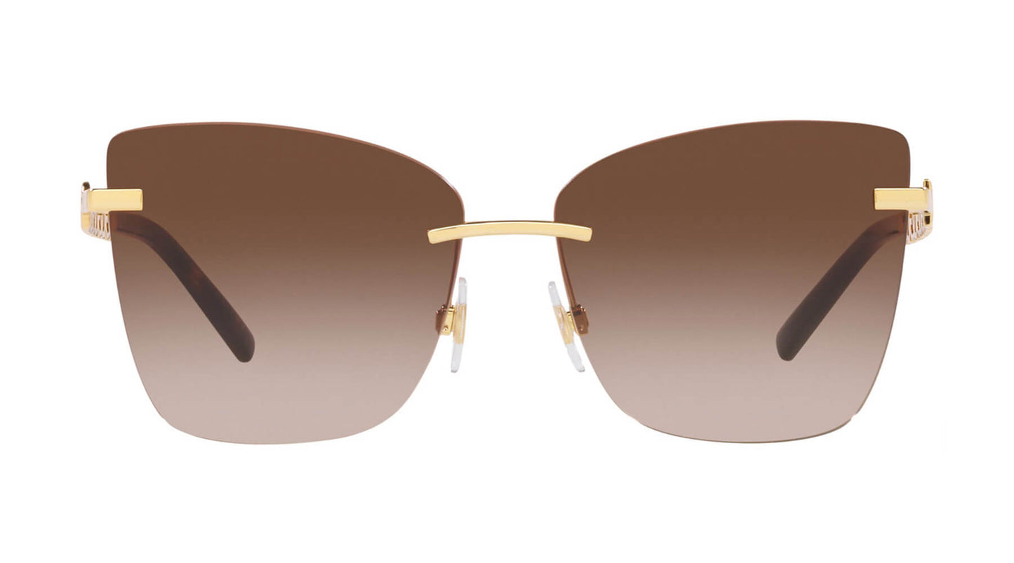 Dolce & Gabbana DG2289 02/13