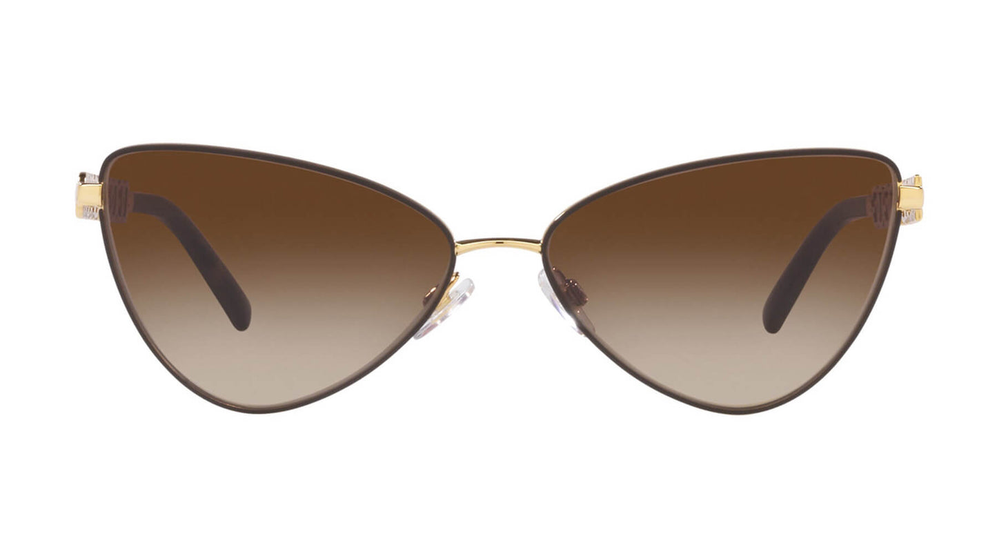 Dolce & Gabbana DG2290 132013