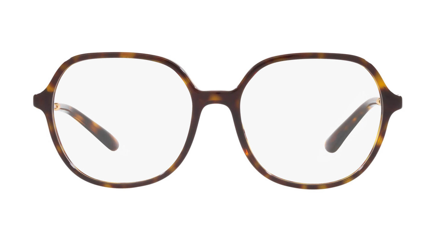 Dolce & Gabbana DG3364 502