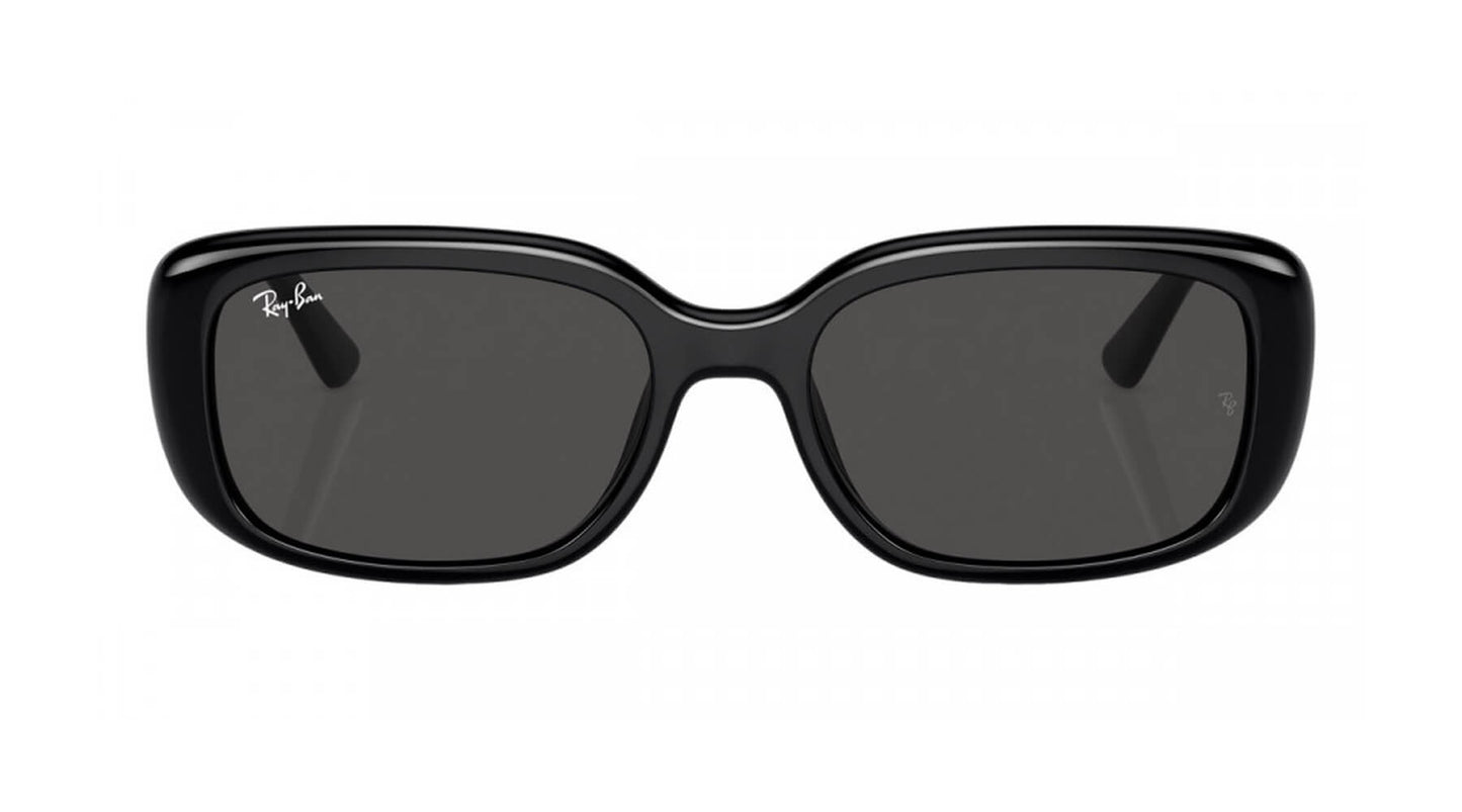 Ray-Ban RB4421D 667787