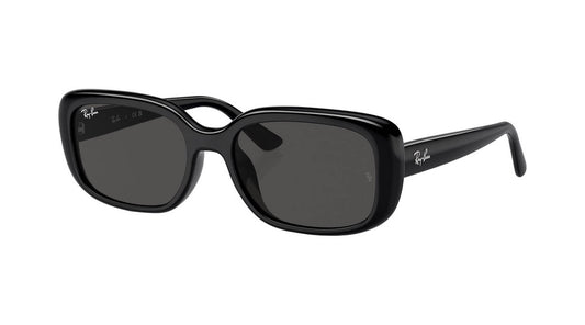 Ray-Ban RB4421D 667787