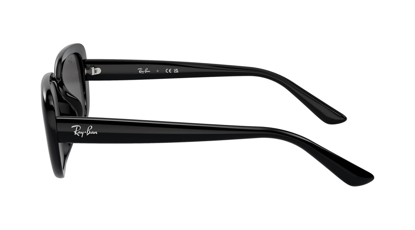 Ray-Ban RB4421D 667787