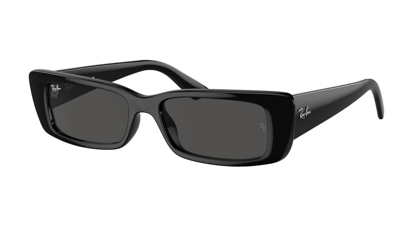 Ray-Ban RB4425 667787 Teru
