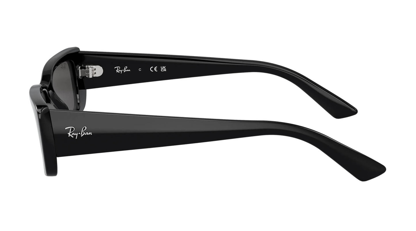 Ray-Ban RB4425 667787 Teru