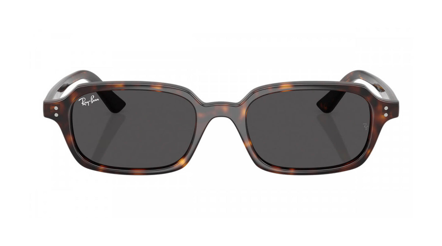 Ray-Ban RB4455 135987 ZURI