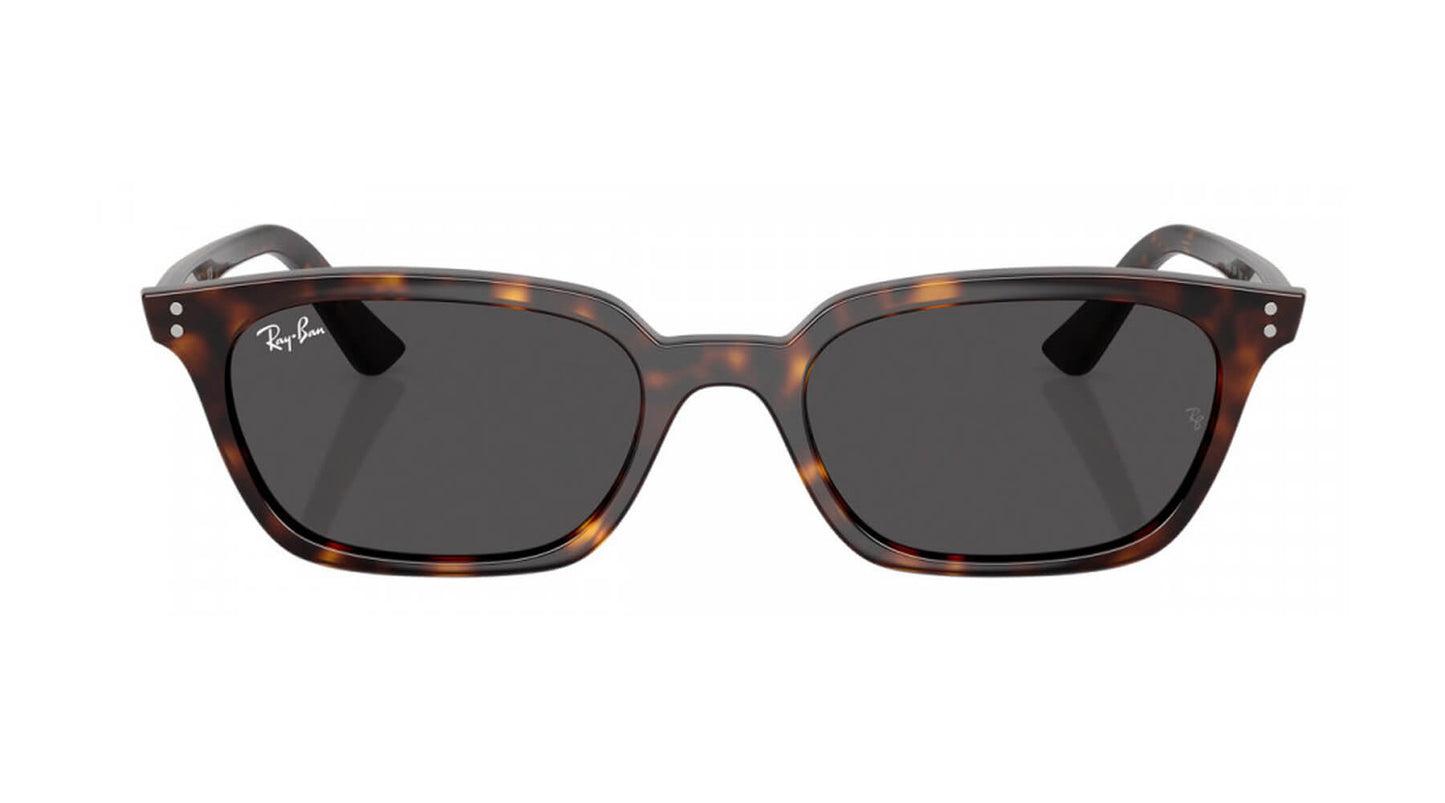 Ray-Ban RB4456 135987 ZAYA
