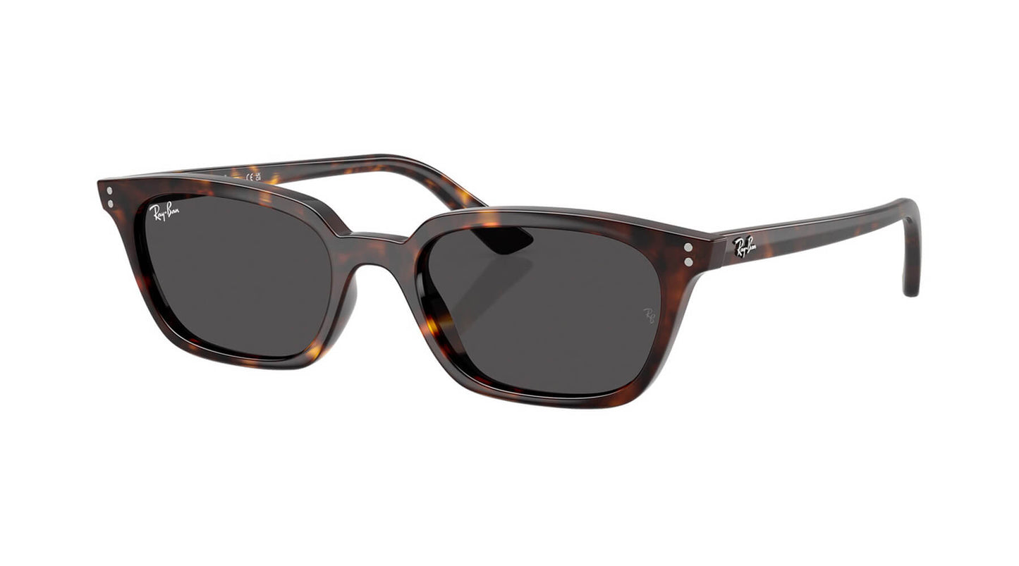 Ray-Ban RB4456 135987 ZAYA