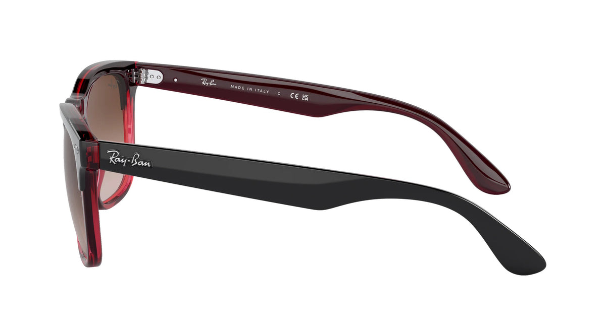 Ray-Ban RB4487 663113 STEVE