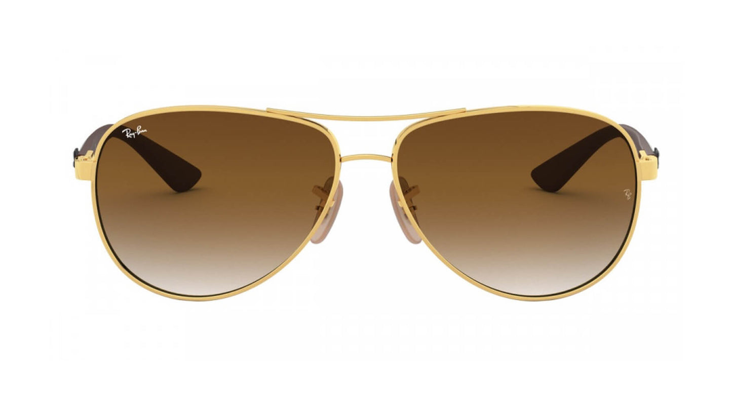 Ray-Ban RB8313 001/51