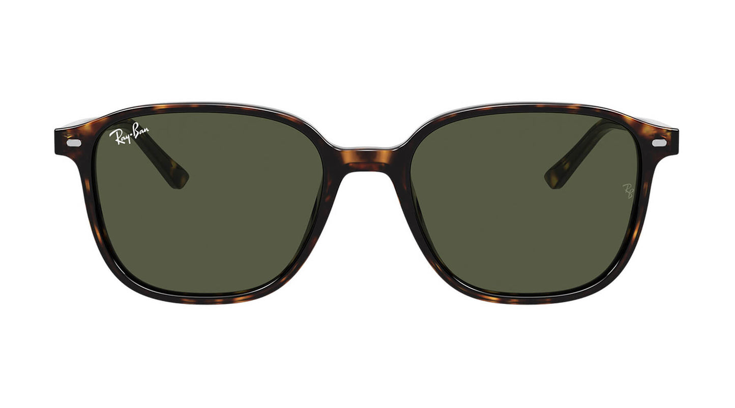 Ray Ban RB2193 90231