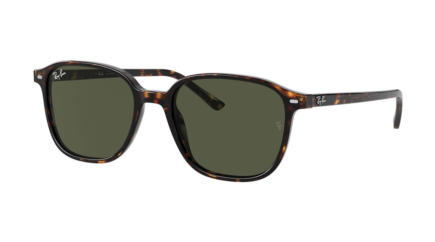 Ray Ban RB2193 90231