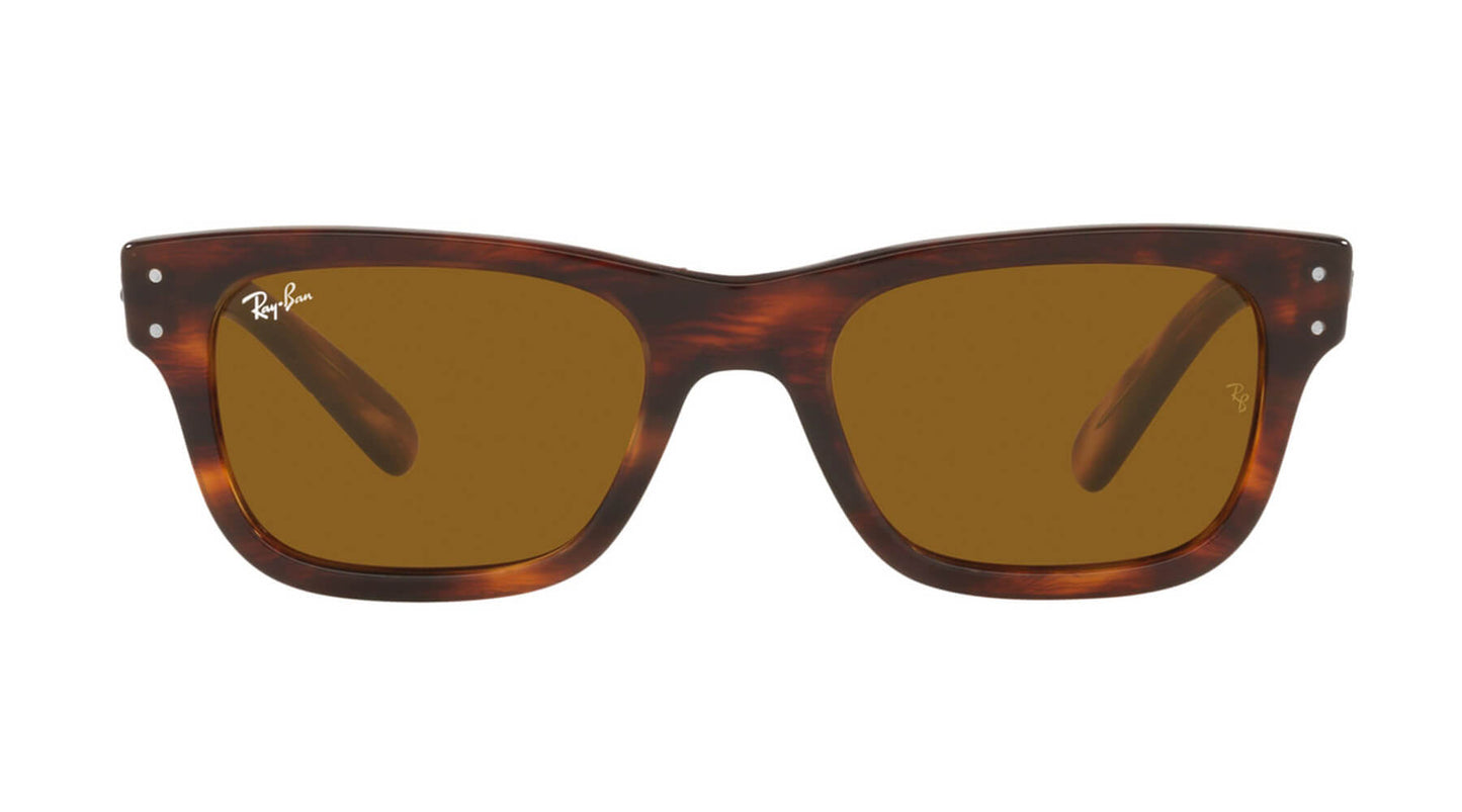 Ray Ban RB2283 95433