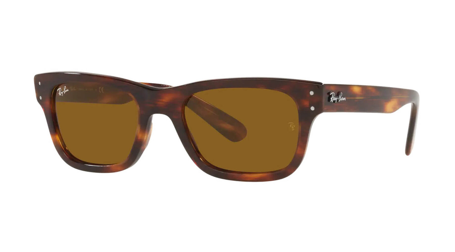 Ray Ban RB2283 95433