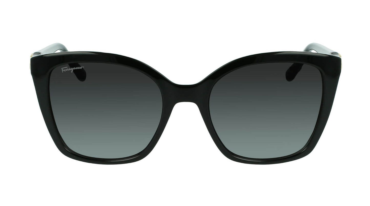 Salvatore Ferragamo SF1026S 001