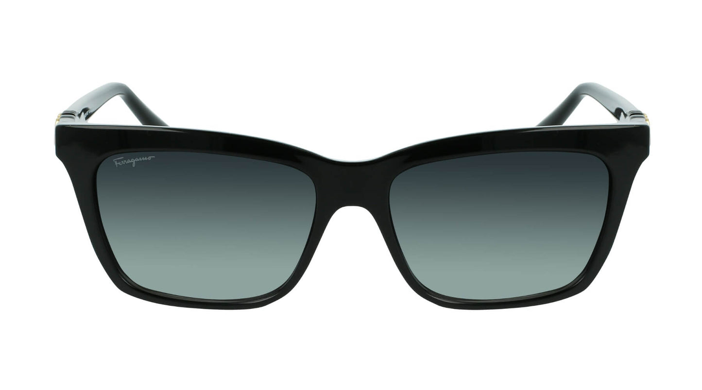 Salvatore Ferragamo SF1027S 001