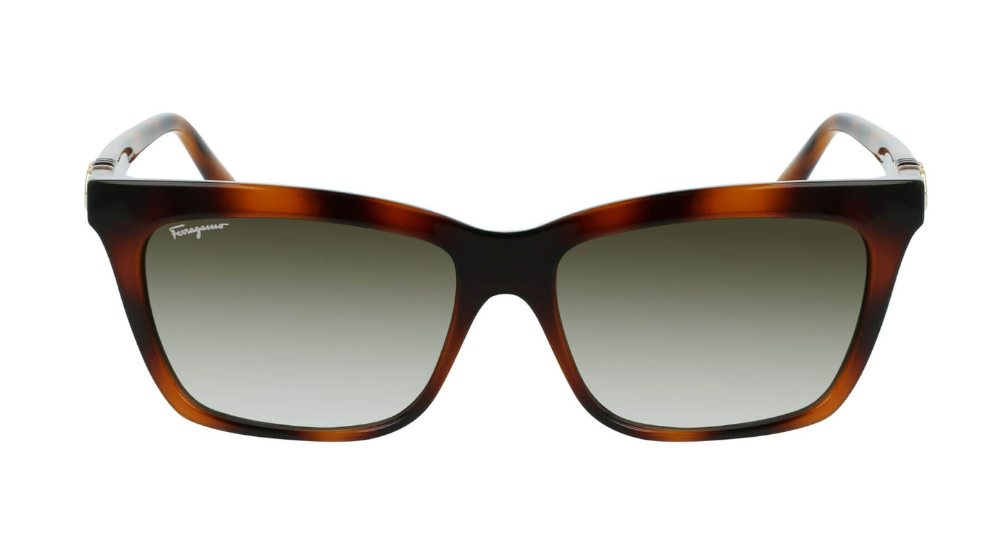 Salvatore Ferragamo SF1027S 214