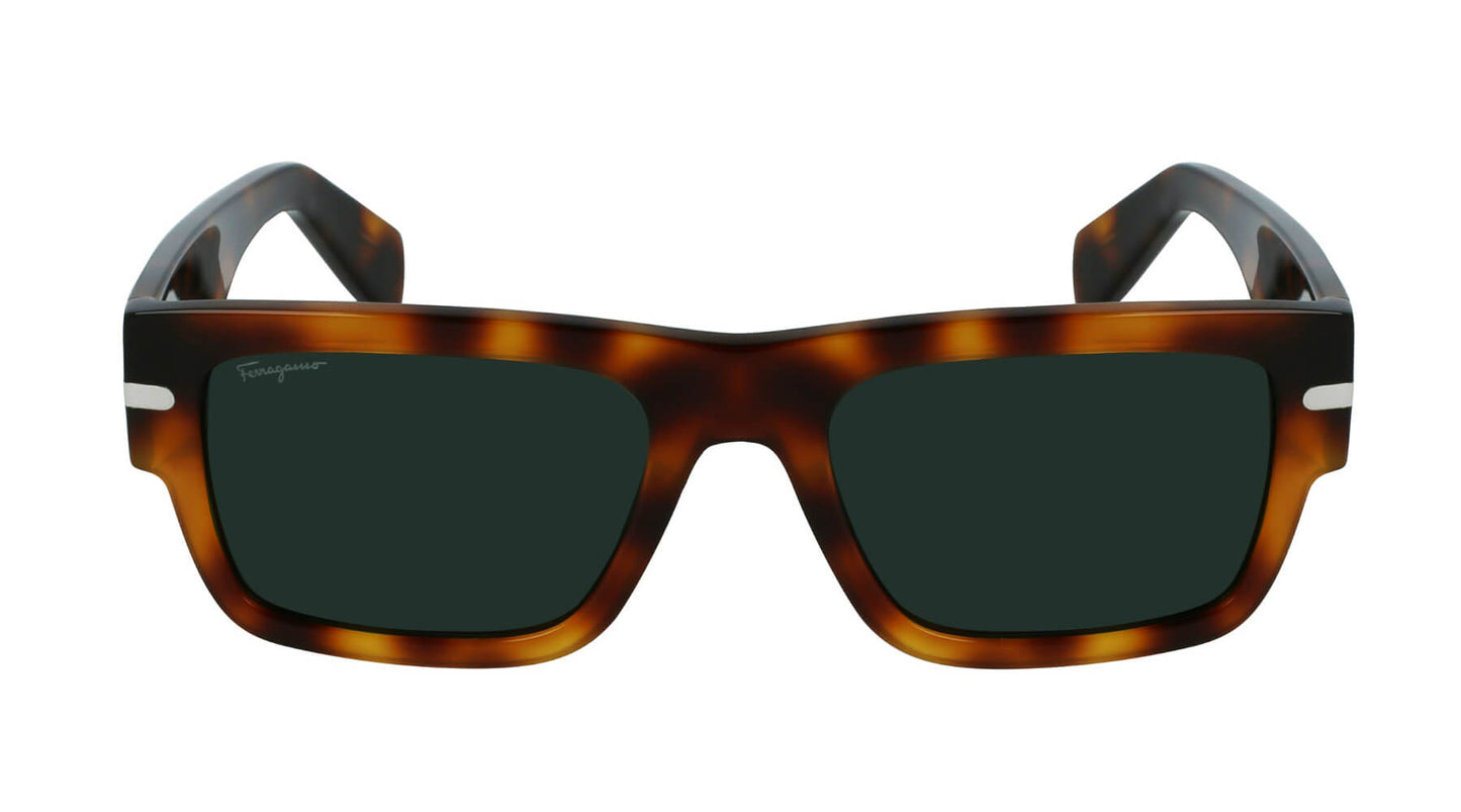 Salvatore Ferragamo SF1030S 214