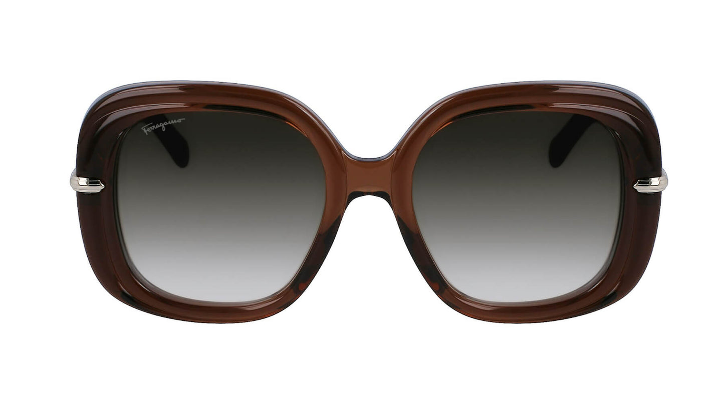Salvatore Ferragamo SF1058S 232
