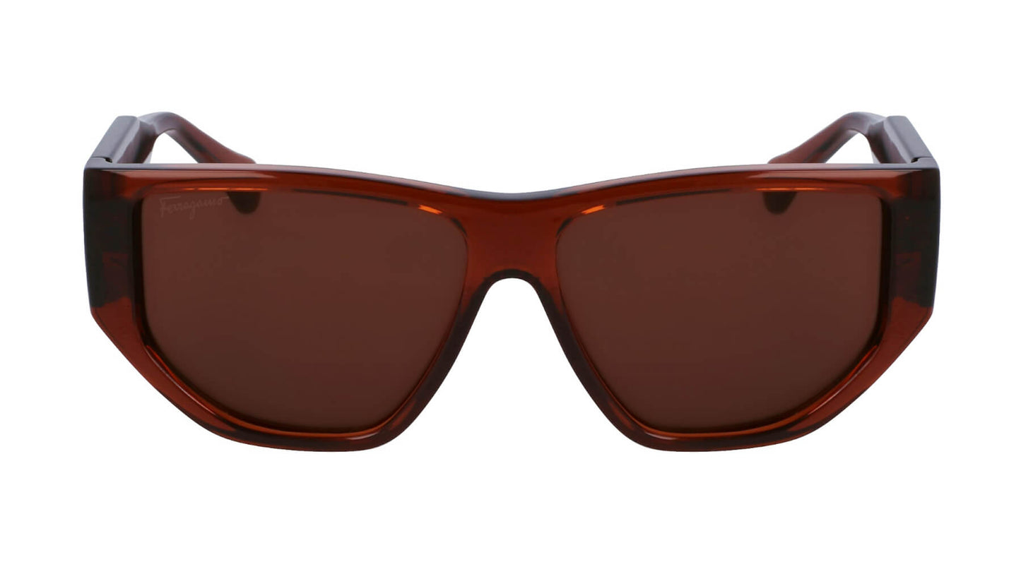 Salvatore Ferragamo SF1077S 232