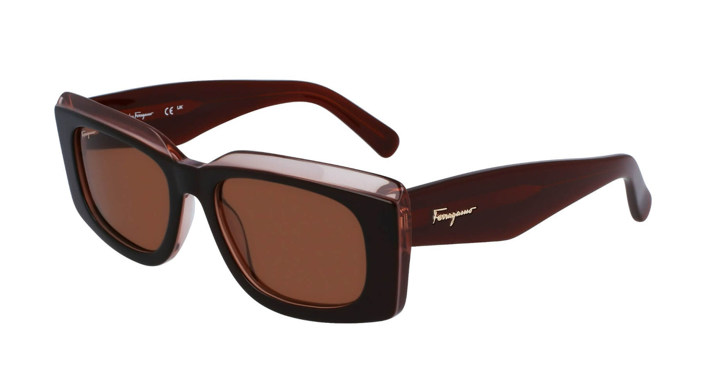 Salvatore Ferragamo SF1079S 211