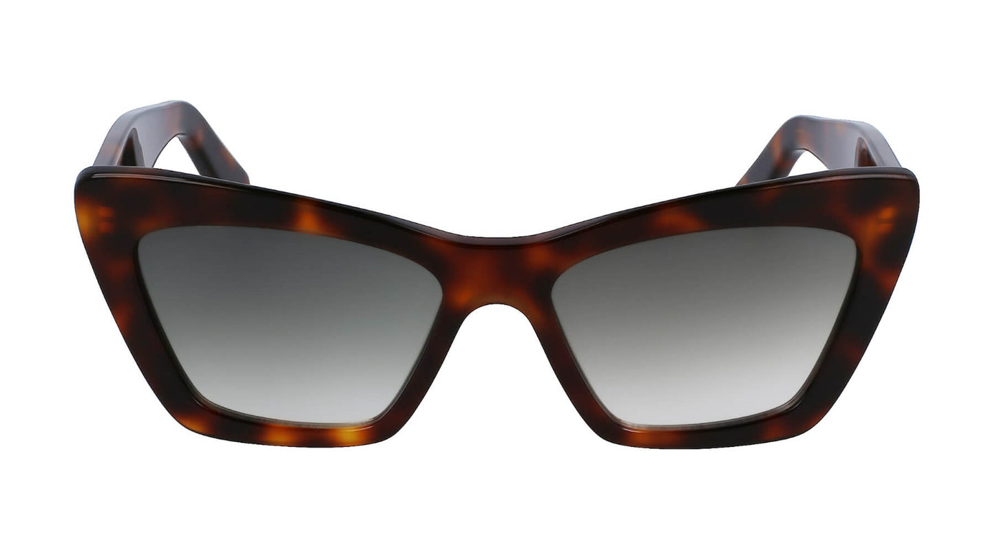 Salvatore Ferragamo SF1081SE 214