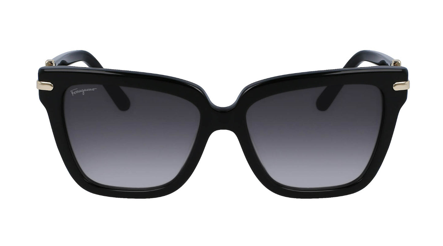 Salvatore Ferragamo SF1085S 011