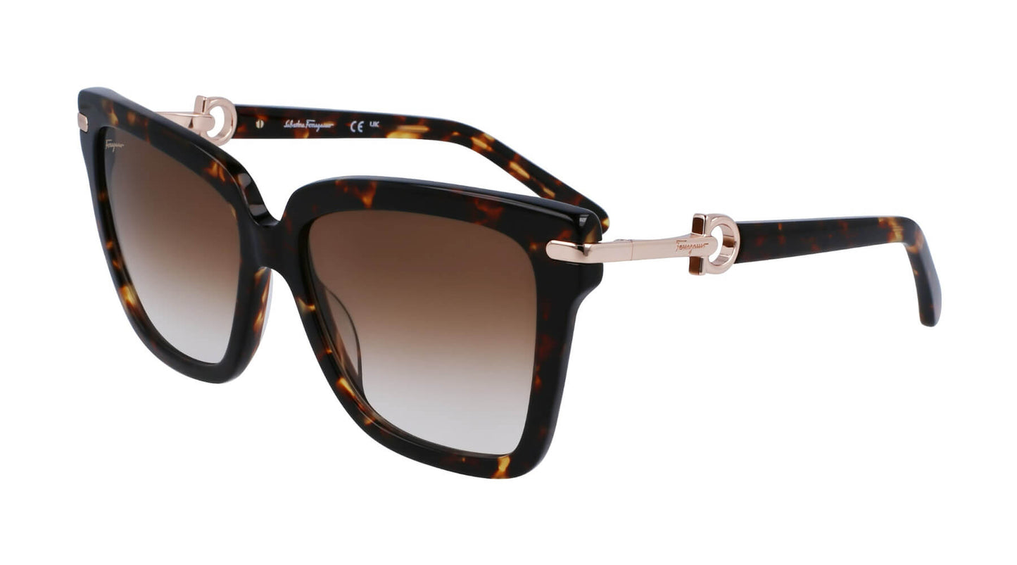 Salvatore Ferragamo SF1085S 219