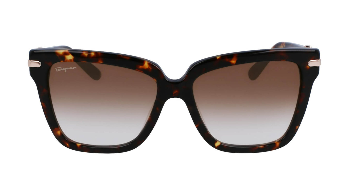 Salvatore Ferragamo SF1085S 219