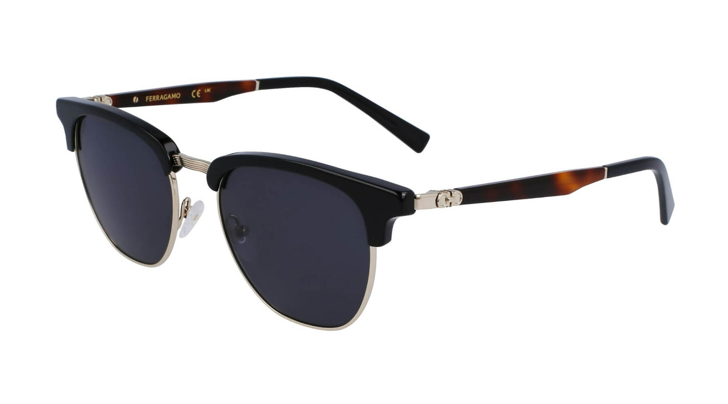 Salvatore Ferragamo SF307S 011