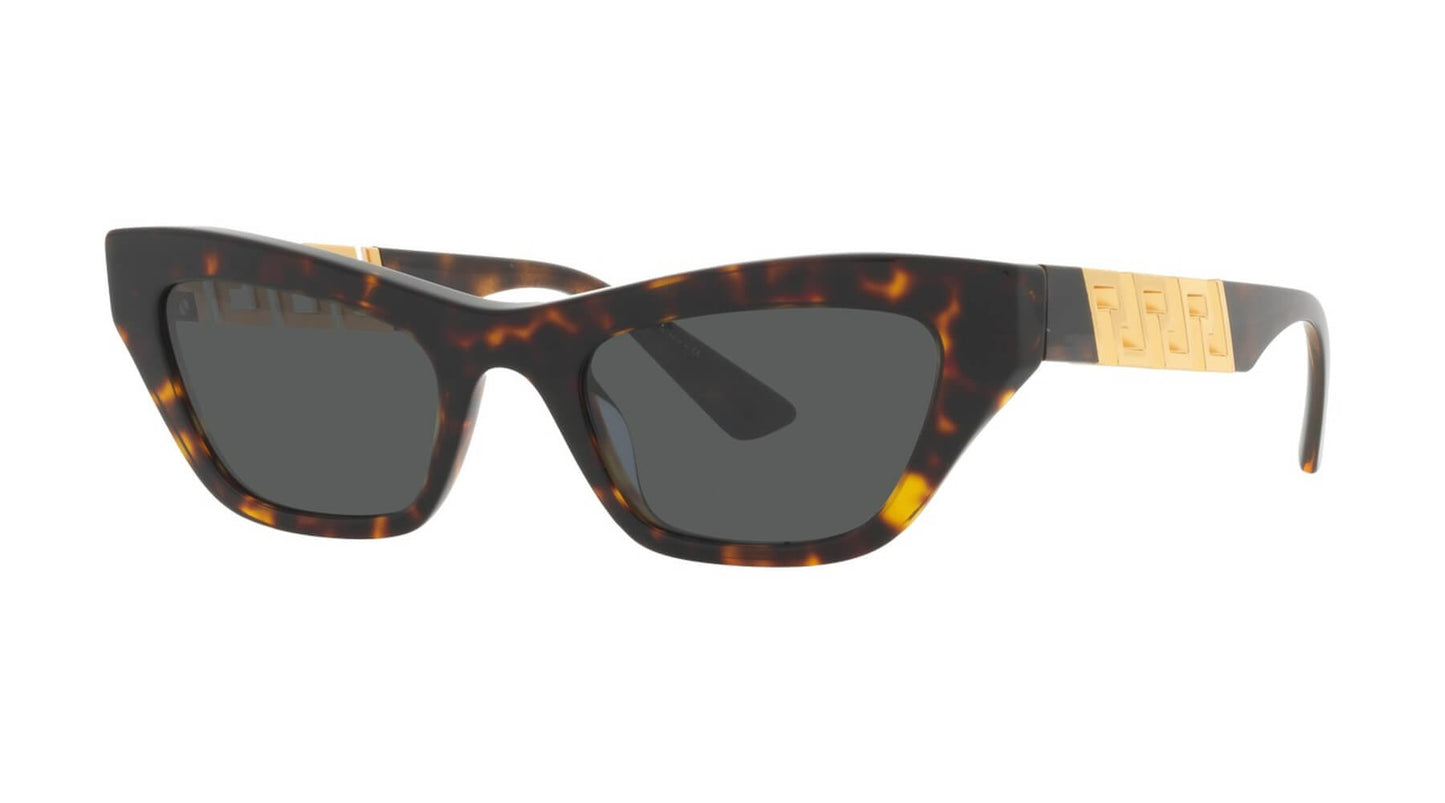 Versace VE4419 108/87