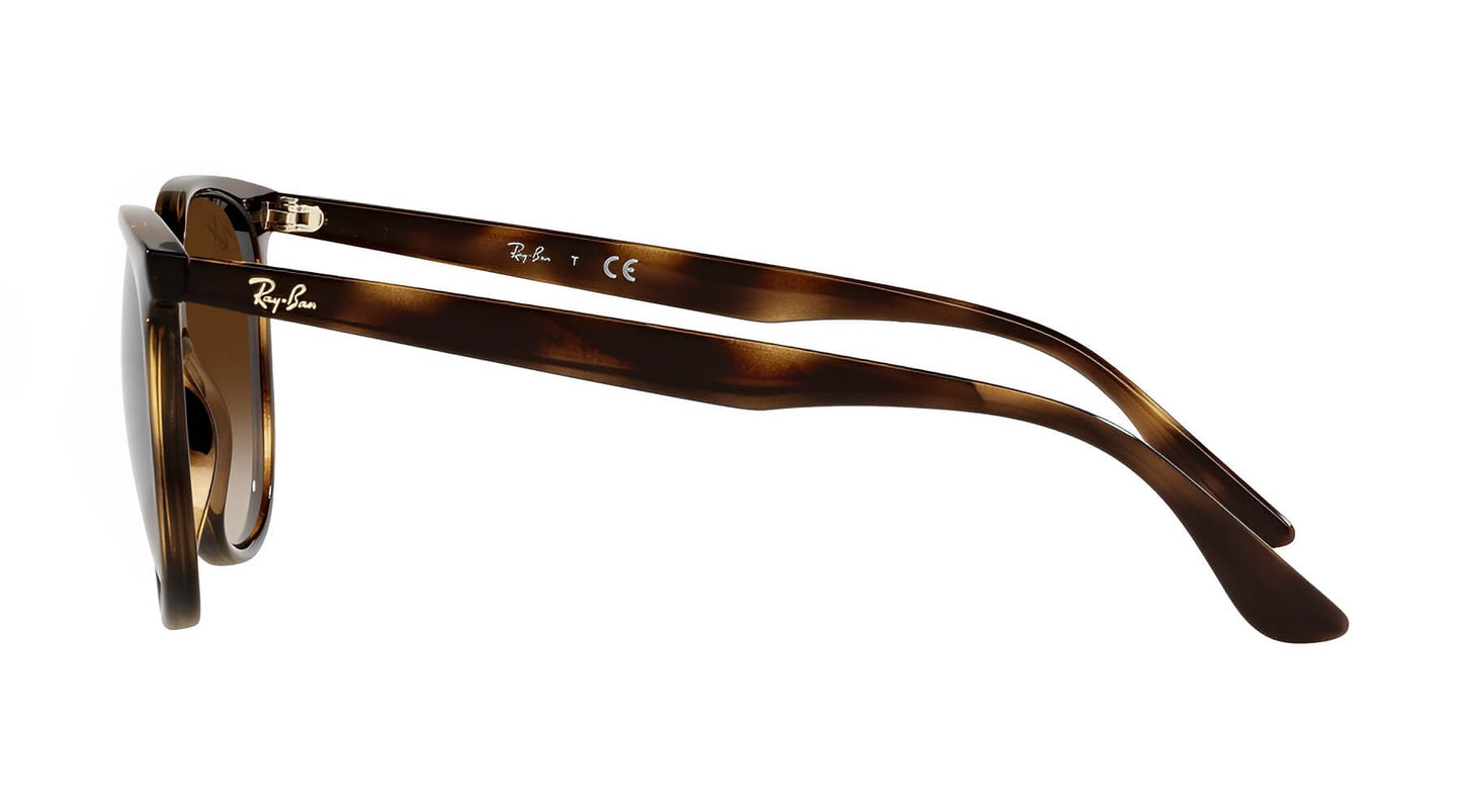 Ray-Ban RB4378 710/13