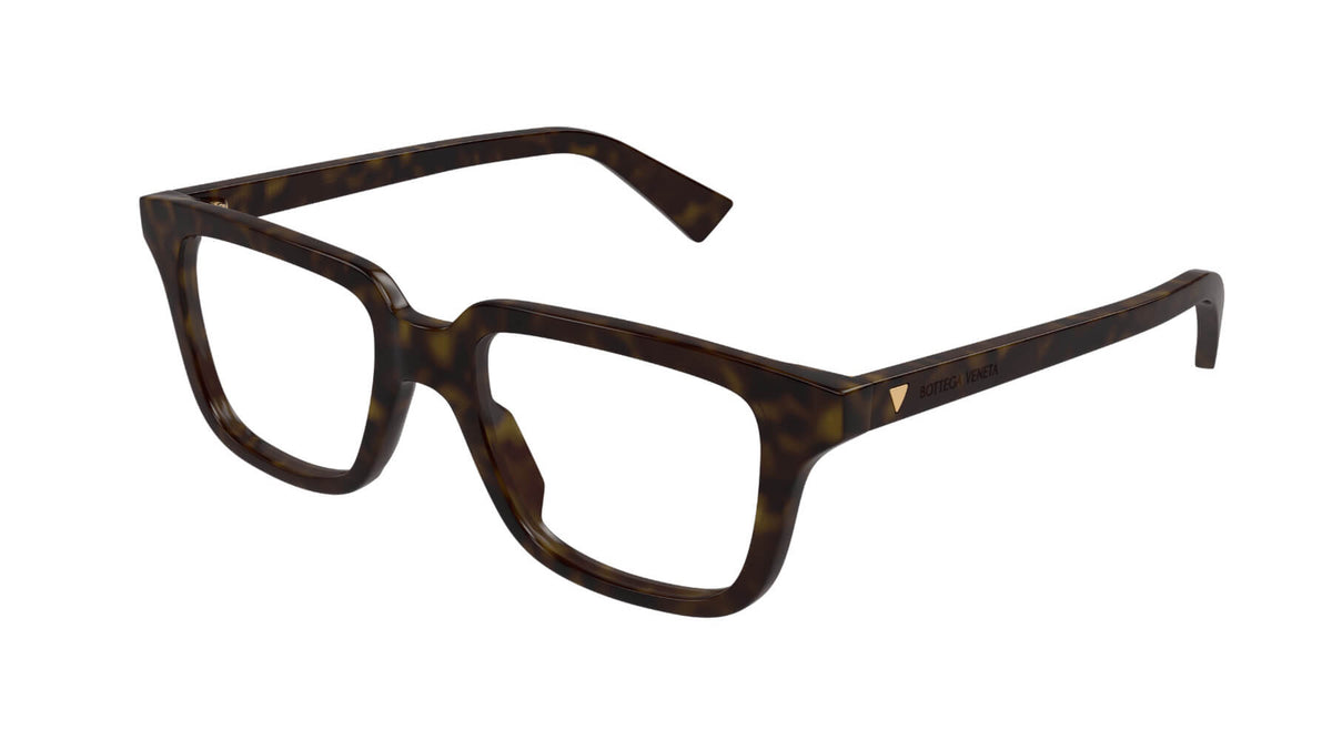 Bottega Veneta BV1365O 006