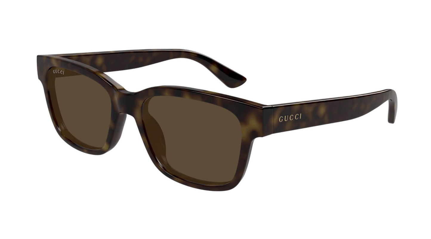 Gucci GG1716S 002