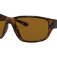 Ray-Ban RB4300 710/33