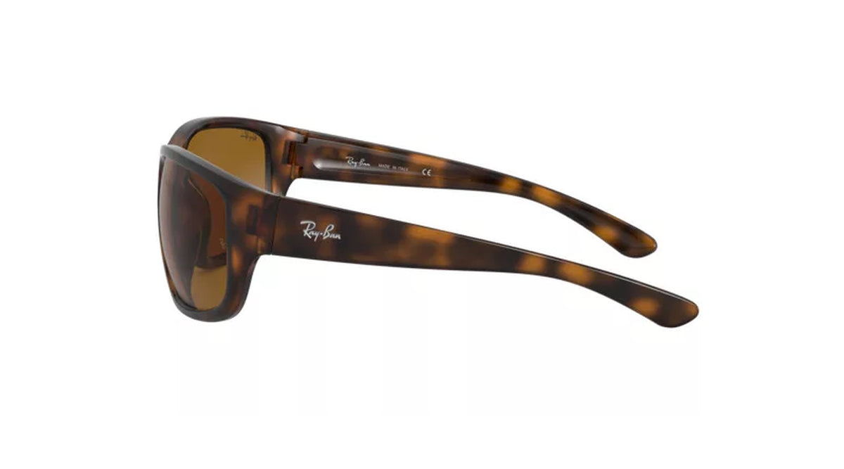 Ray-Ban RB4300 710/33