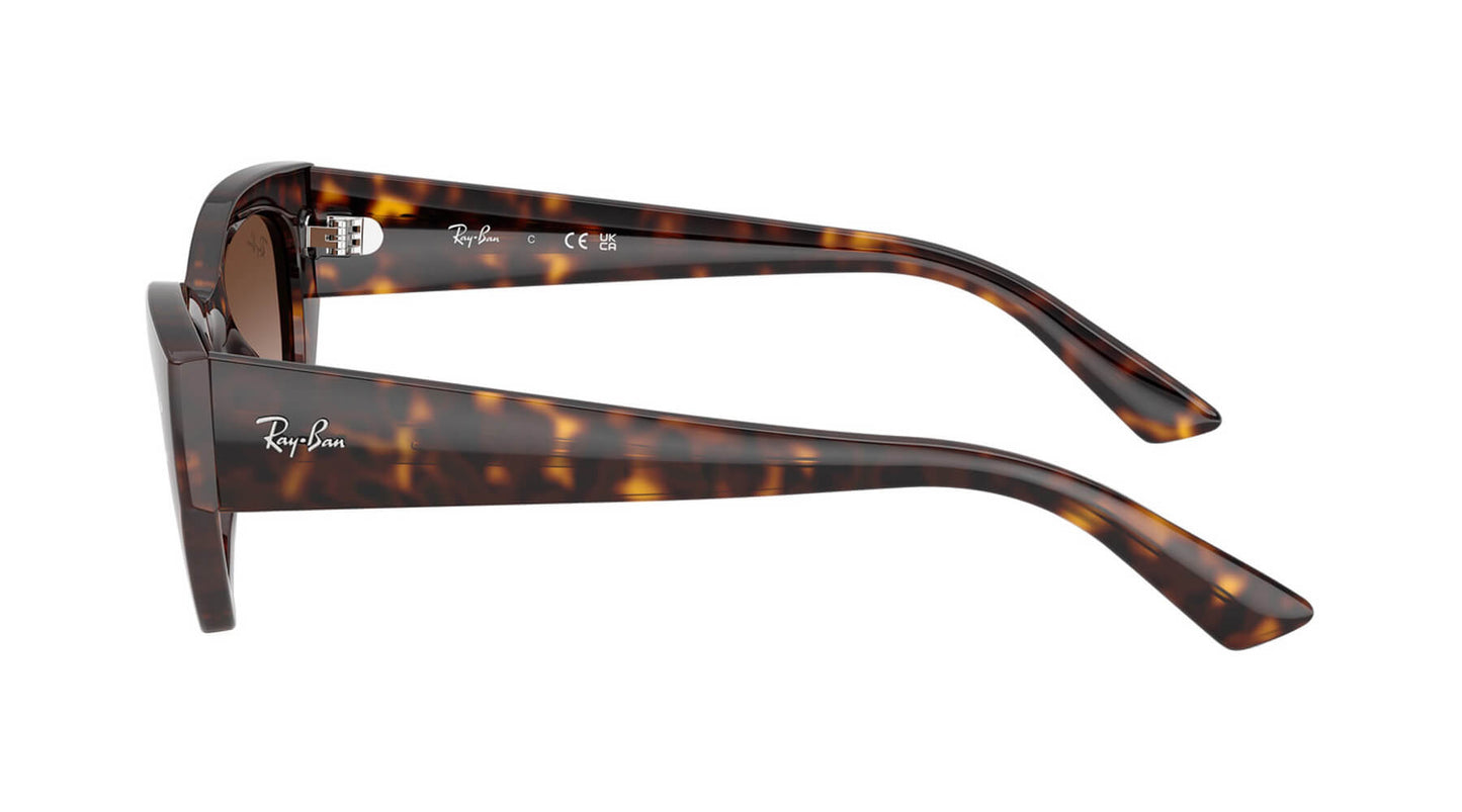 Ray-Ban RB4430 135913   Zena
