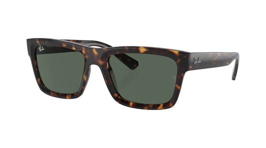 Ray-Ban RB4396 135971   Warren