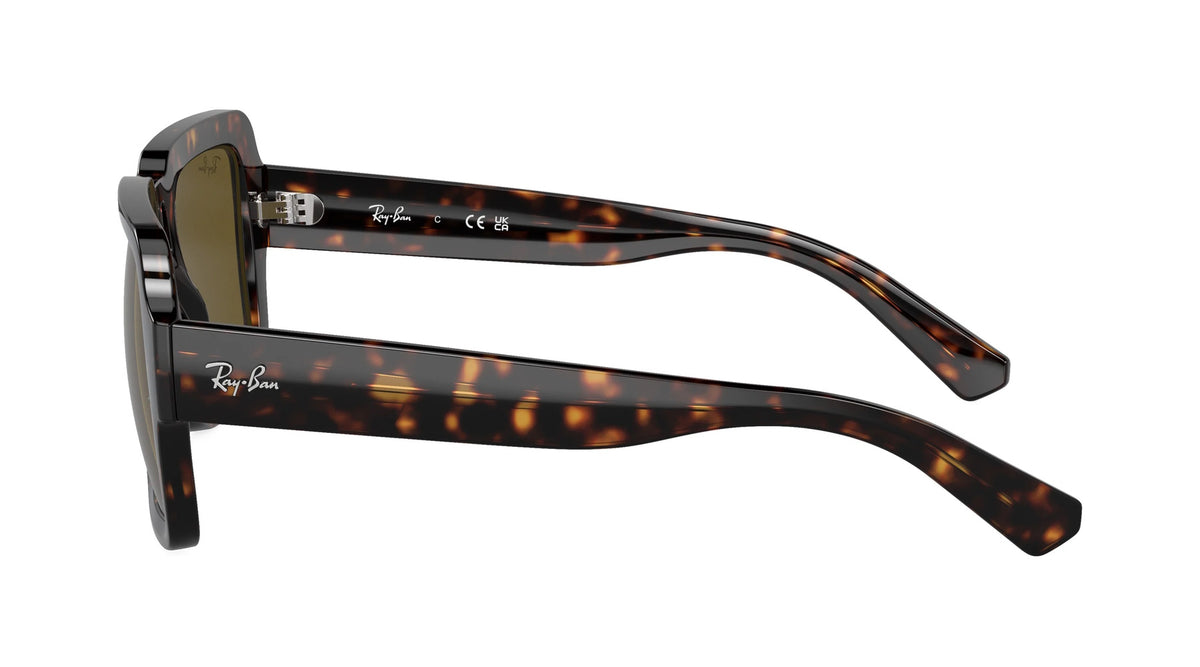 Ray-Ban RB4408 135973     MAGELLAN