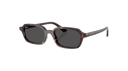 Ray-Ban RB4455 135987 ZURI