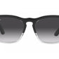 Ray-Ban RB4487 66308G    STEVE