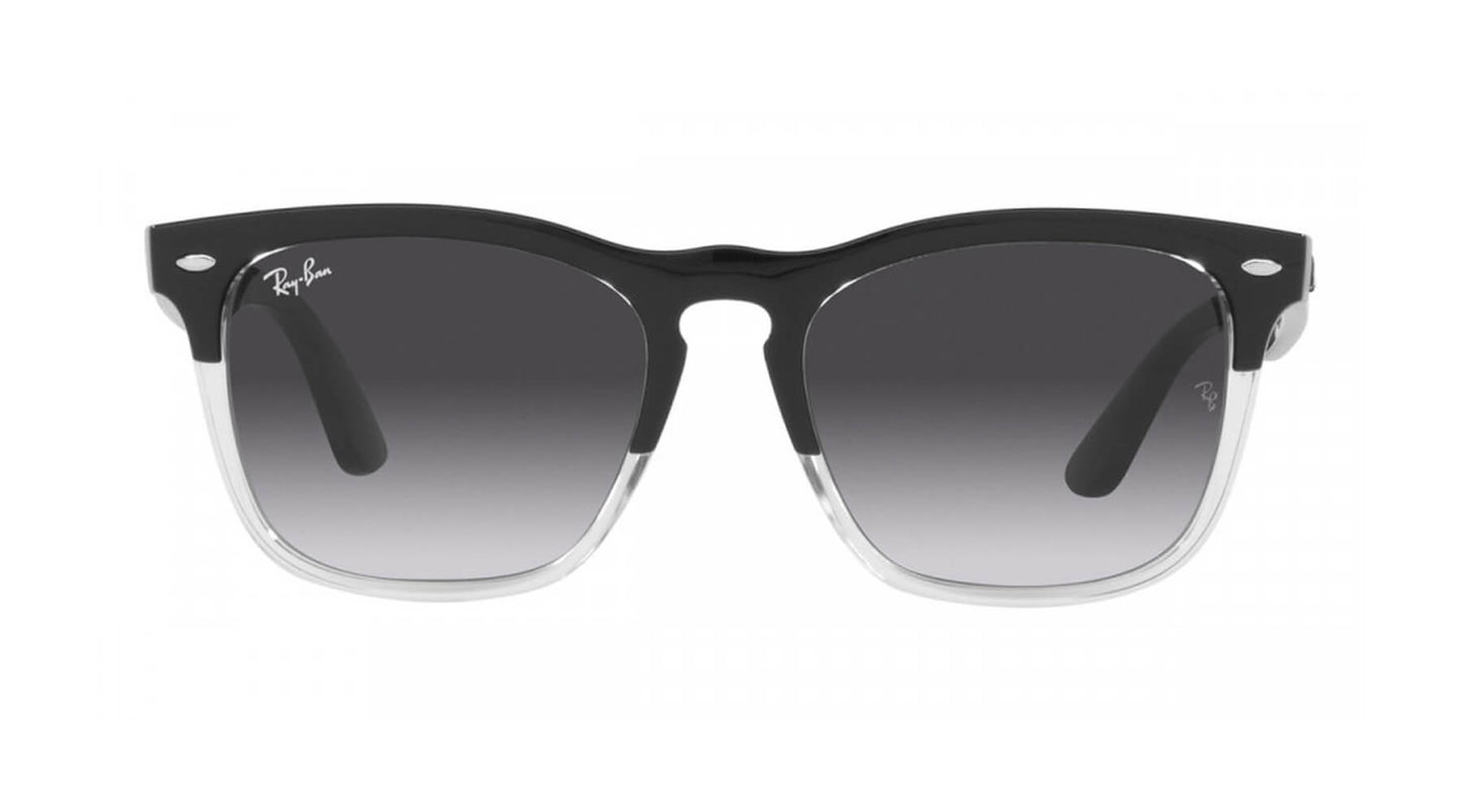 Ray-Ban RB4487 66308G    STEVE