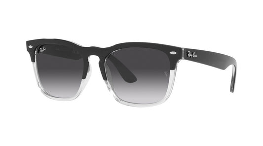 Ray-Ban RB4487 66308G    STEVE