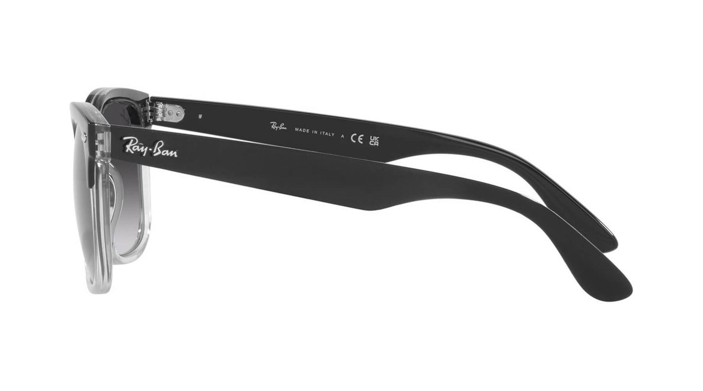 Ray-Ban RB4487 66308G    STEVE