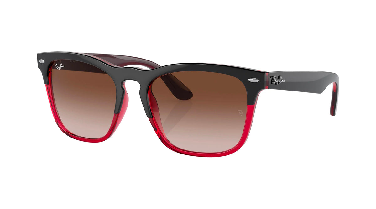 Ray-Ban RB4487 663113    STEVE