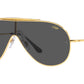 Ray Ban RB3597 Wings 924687