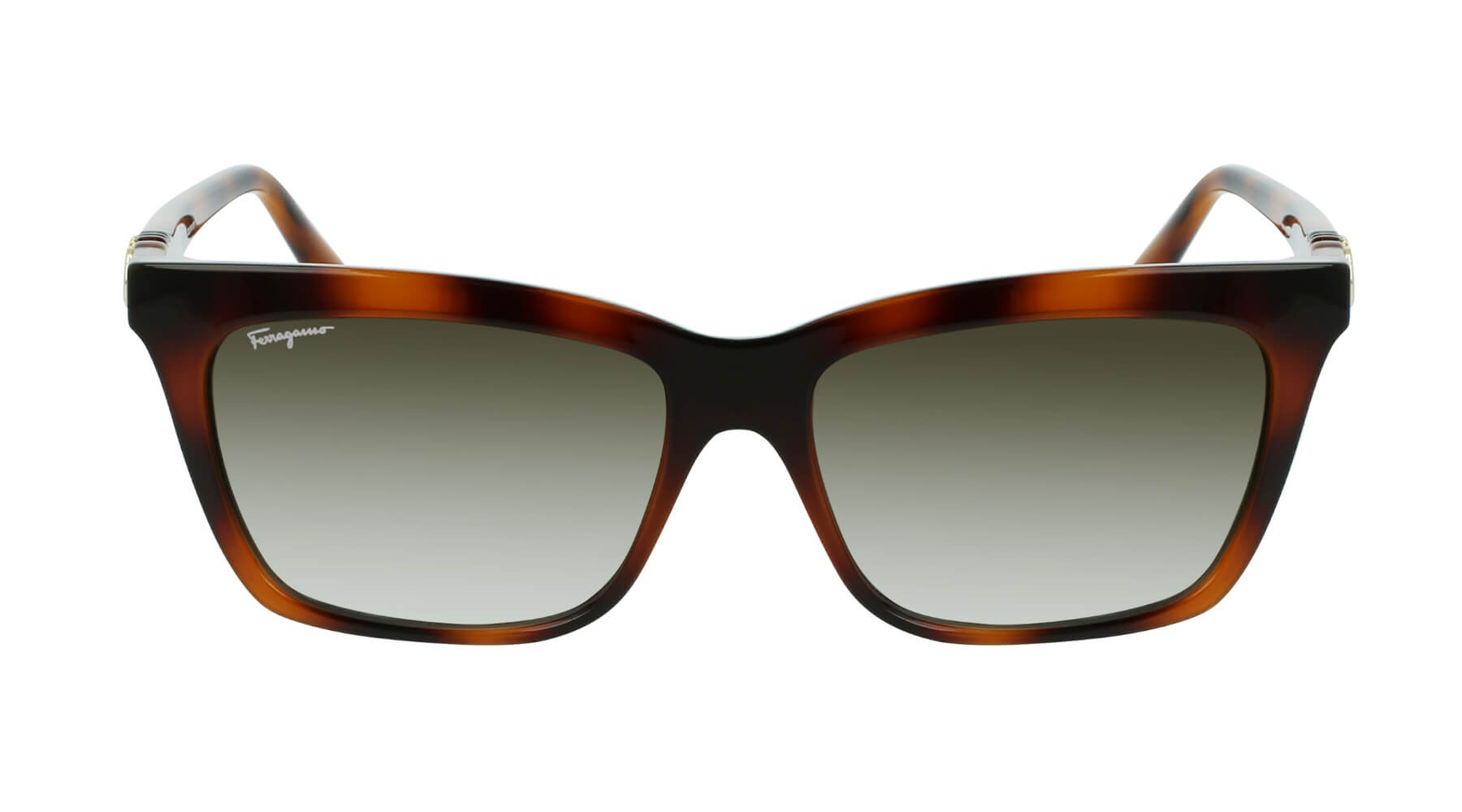 Salvatore Ferragamo SF1027S 214